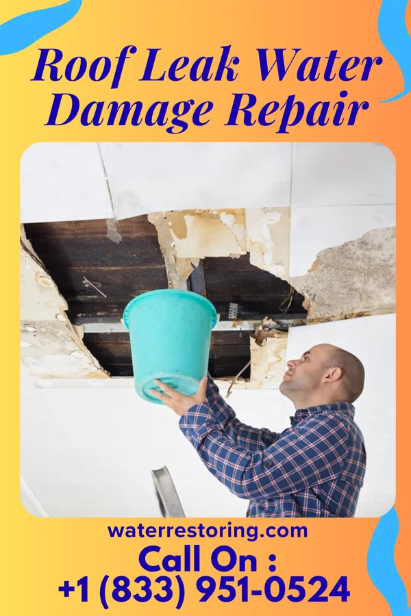 Roof Leak Water Damage Repair in Darwin, MN