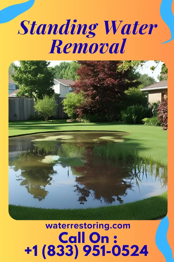 Standing Water Removal in Darwin, MN